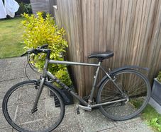 Road Bikes