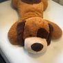 Large Teddy Image 4