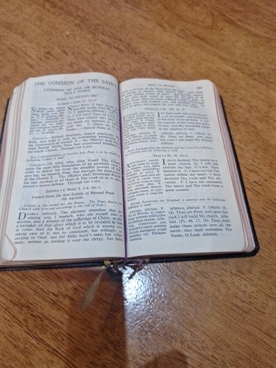 Vintage Bible