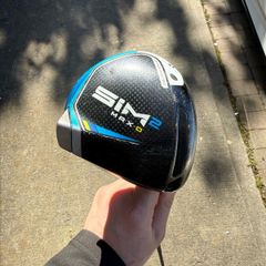 Sim2 Max Driver