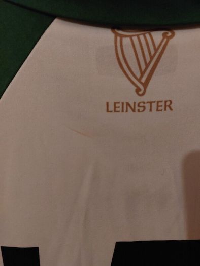 leinster all star camogie jersey