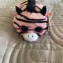 TY Teeny plushie Image 5