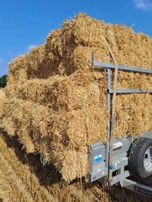 small square bales straw