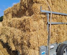 small square bales straw