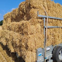 small square bales straw