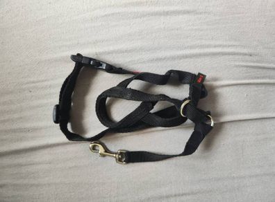 Halti head collar