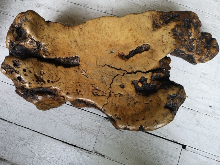 American Redwood Burl