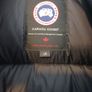 Canada goose Image 3