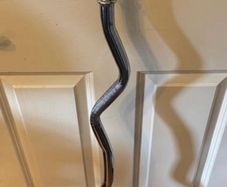 curl bar