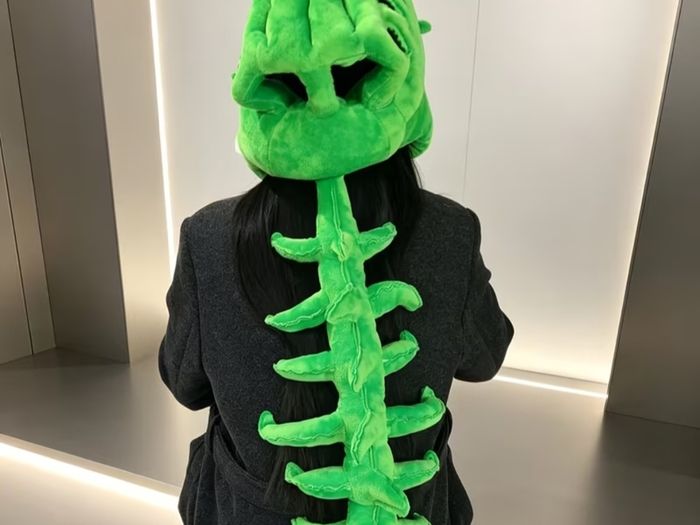 Cute Dinosaur Skeleton Costume