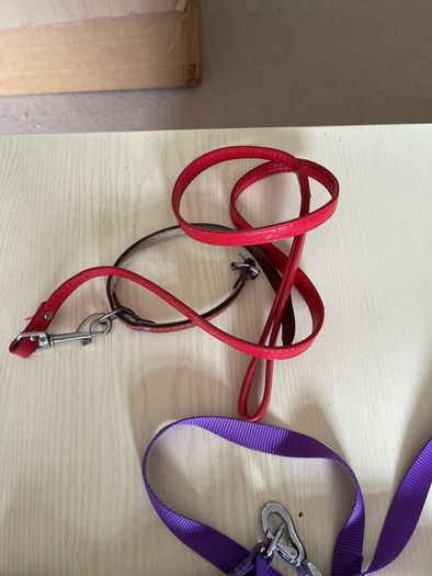 dog leads x3