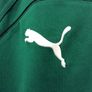 Ireland Rugby Jersey. Season 2009-2011. Official Puma IRFU Home Jersey. Authentic Original From 2009. Not A Modern Day Remake. Image 3