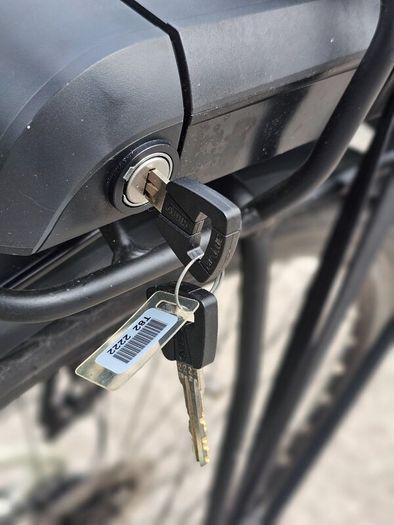 Raleigh Felix Step-Through E-Bike (Mint Condition