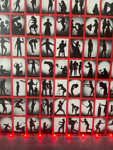 Saga - The Beginner's Guide To Throwing Shapes