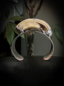 1 reclaimed wild boar tusk from soldered handcrafted 925 silver bracelet