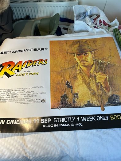 Raiders of the Lost Ark 45th Anniversary Cinema Poster