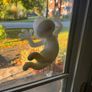 3D Printed Flying Ghost  Halloween Window Decoration Image 4
