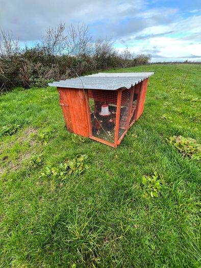 Movable Chicken Coop