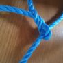 Cattle halters Image 2