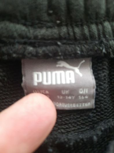 Puma Shorts