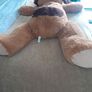 Big Dog Teddy Image 4
