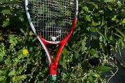 Wilson Tennis Racket