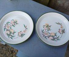 Large Vintage Arklow Honeystone Plates