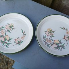 Large Vintage Arklow Honeystone Plates