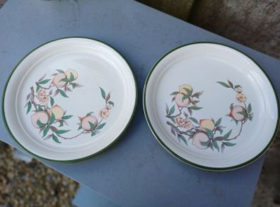 Large Vintage Arklow Honeystone Plates