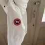 canada goose Image 3