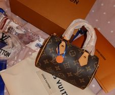 bag inspired by Louis Vuitton