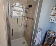 Flair Shower Door