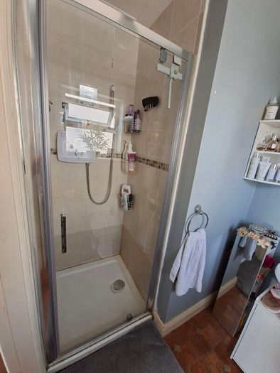 Flair Shower Door