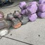 weights for sale, 3kg-10kg pairs Image 5