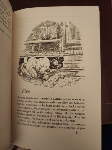My Five Tigers. The Cats In My Life. By Lloyd Alexander. First Edition 1956.  Hardback With Dustjacket In Good Condition. 37.