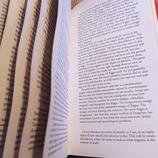 The Tibetan Book of Living & Dying/ 1993
