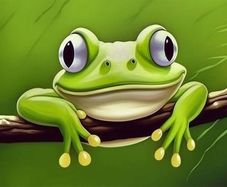 Brand New Bimkole DIY 5D Diamond Painting Accessories Frog,