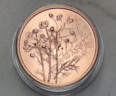Austria 10 Euro Copper Uncirculated Coin 2023 - Chamomile - Languages of Flowers