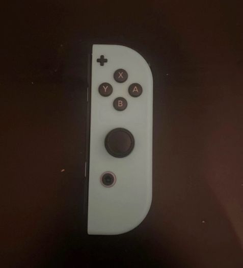 Nintendo Switch Joy-Cons