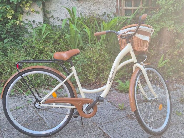 ladies bike