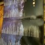 Genesis vinyl lp Image 3