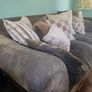Tetrad 4 seater, armchair and footstool Image 6
