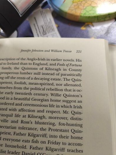 The Anglo Irish Novel and the Big House by Vera Kreilkamp