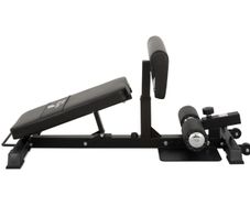 Sissy Squat & Ab Bench