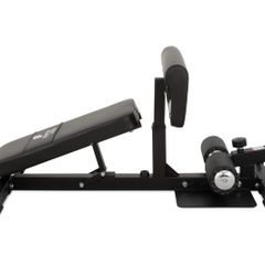 Sissy Squat & Ab Bench