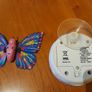 Little live pets - butterfly Image 5