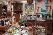 Vintage Taxidermy Grey Heron