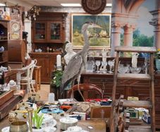 Vintage Taxidermy Grey Heron