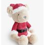Teddy Bear Image 2