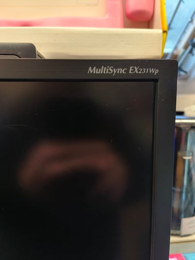 Used NEC MultiSync EX231W - LED monitor - 23" - 1920 x 1080 Full HD - TN - 250 cd/m2 - 1000:1 - 25000:1 (dynamic) - 5 ms - DVI-I, Display Port - black